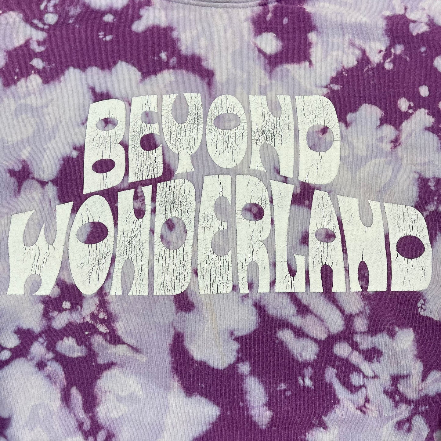 THRIFTED “BEYOND WONDERLAND” HOODIE
