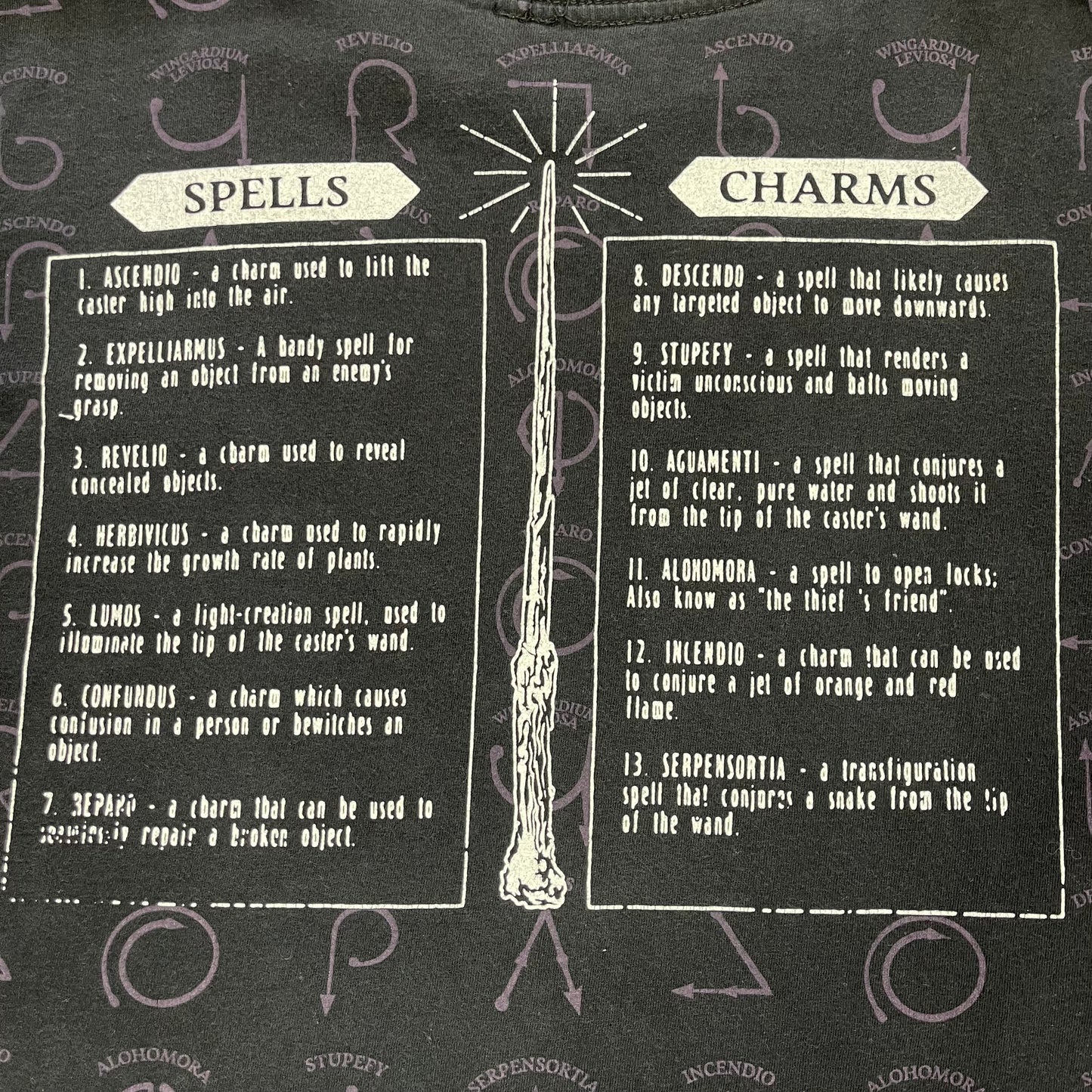 THRIFTED HARRY POTTER “LUMOS MAXIMA” T-SHIRT