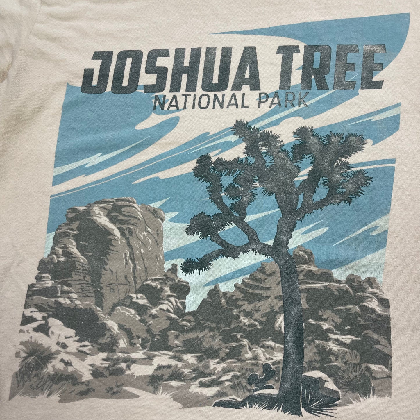 THRIFTED “JOSHUA TREE NATIONAL PARK” T-SHIRT