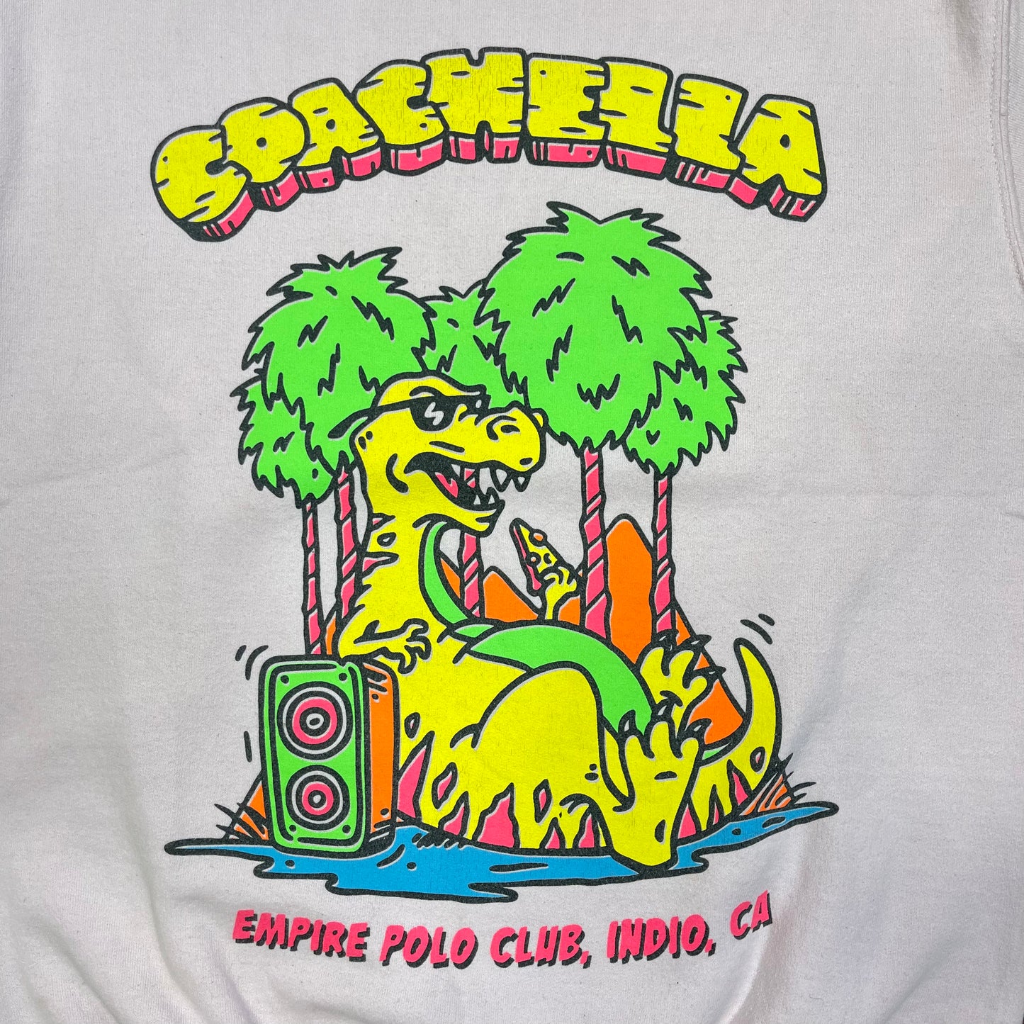 THRIFTED COACHELLA EMPIRE POLO CLUB SWEATER