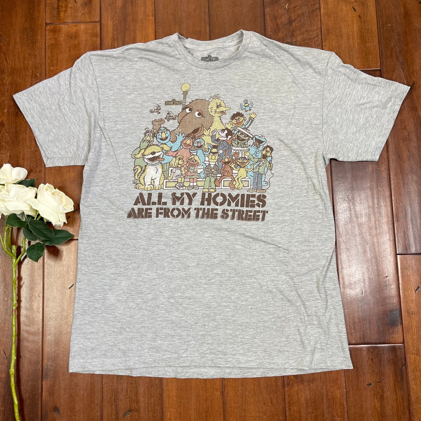 THRIFTED SESAME STREET HOMIES T-SHIRT