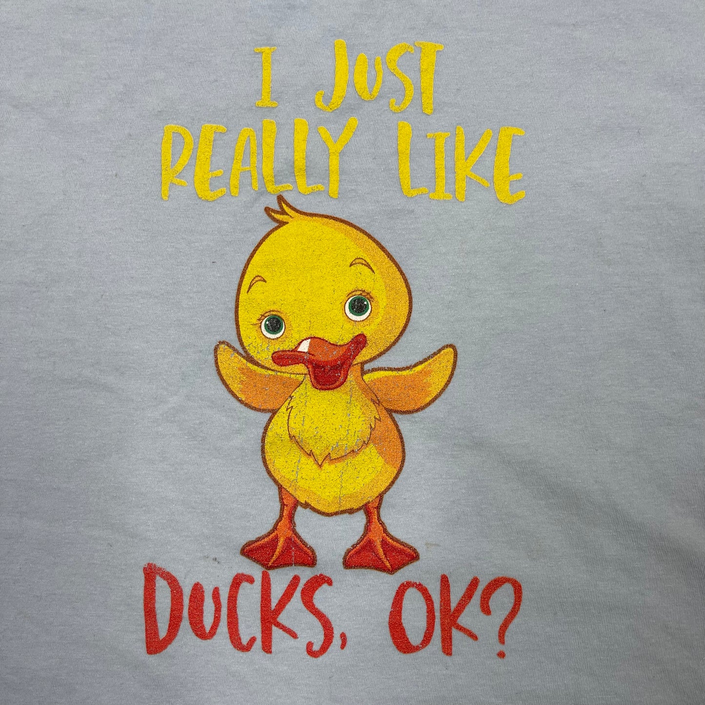 THRIFTED “I JUST REALLY LIKE DUCKS, OK?” TEE