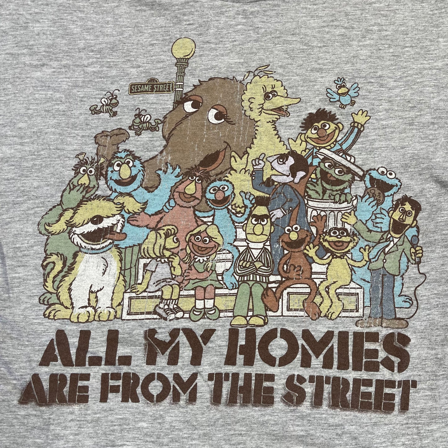 THRIFTED SESAME STREET HOMIES T-SHIRT