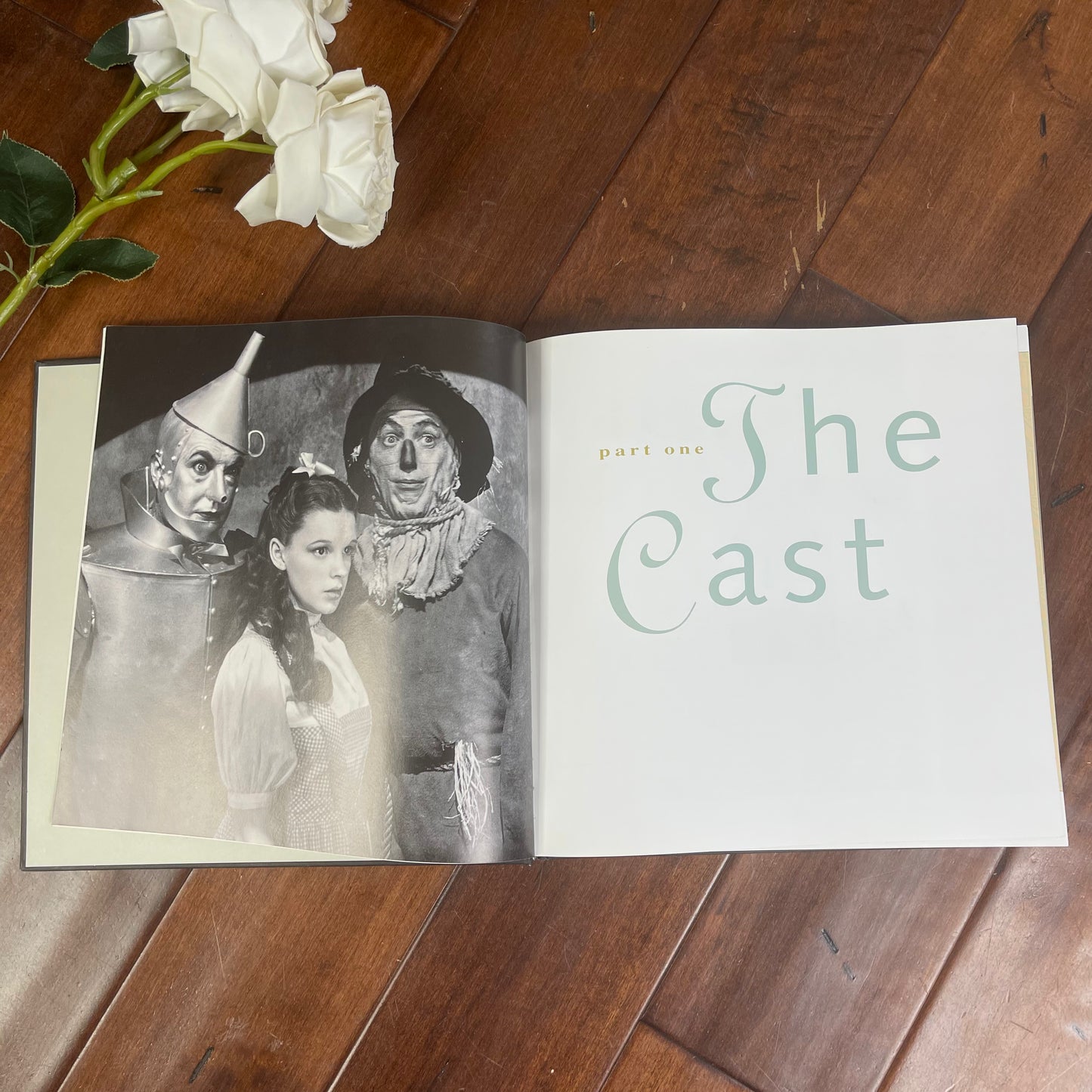 VINTAGE THE HOLLYWOOD STORYTELLER HARDCOVER BOOK