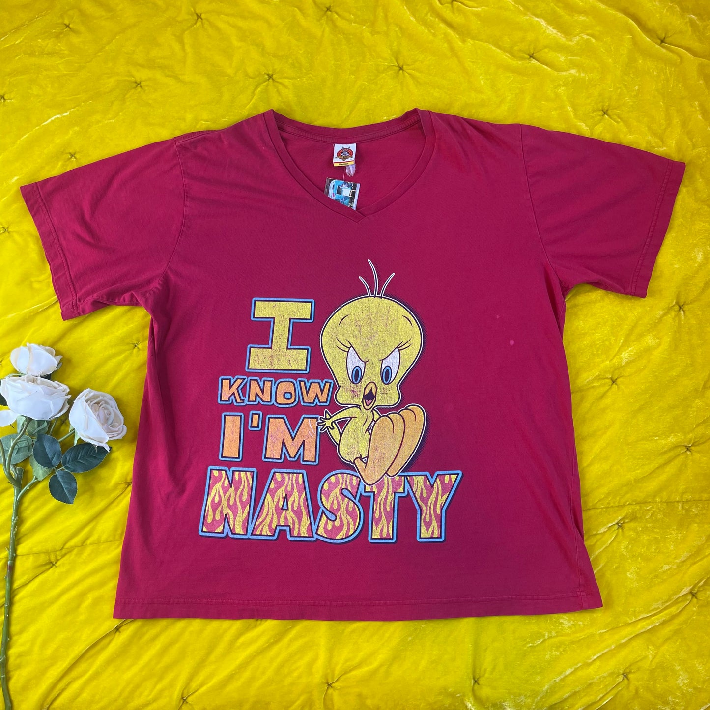 Vintage Y2K 2001 Tweety Bird “I Know I’m Nasty” V-Neck T-Shirt