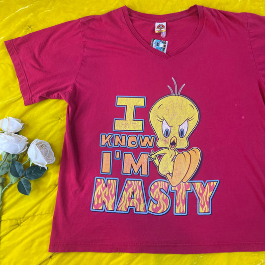 Vintage Y2K 2001 Tweety Bird “I Know I’m Nasty” V-Neck T-Shirt