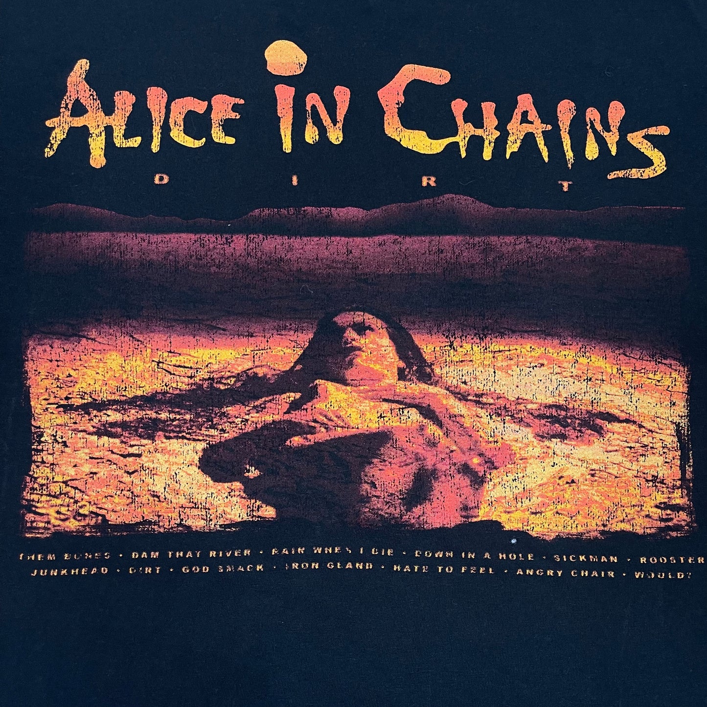 THRIFTED “ALICE IN CHAINS” T-SHIRT