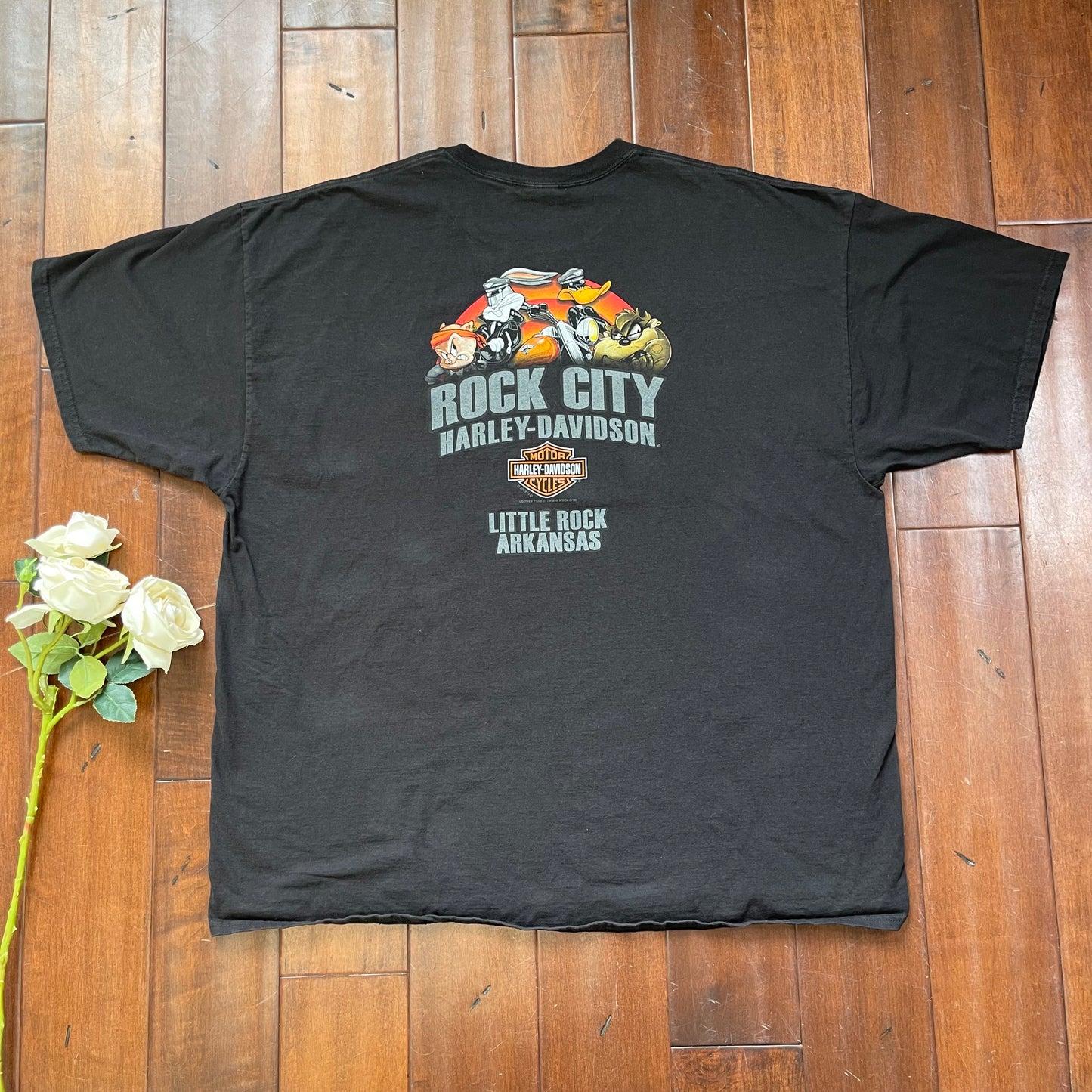 Thrifted Harley Davidson & Looney Tunes T-Shirt