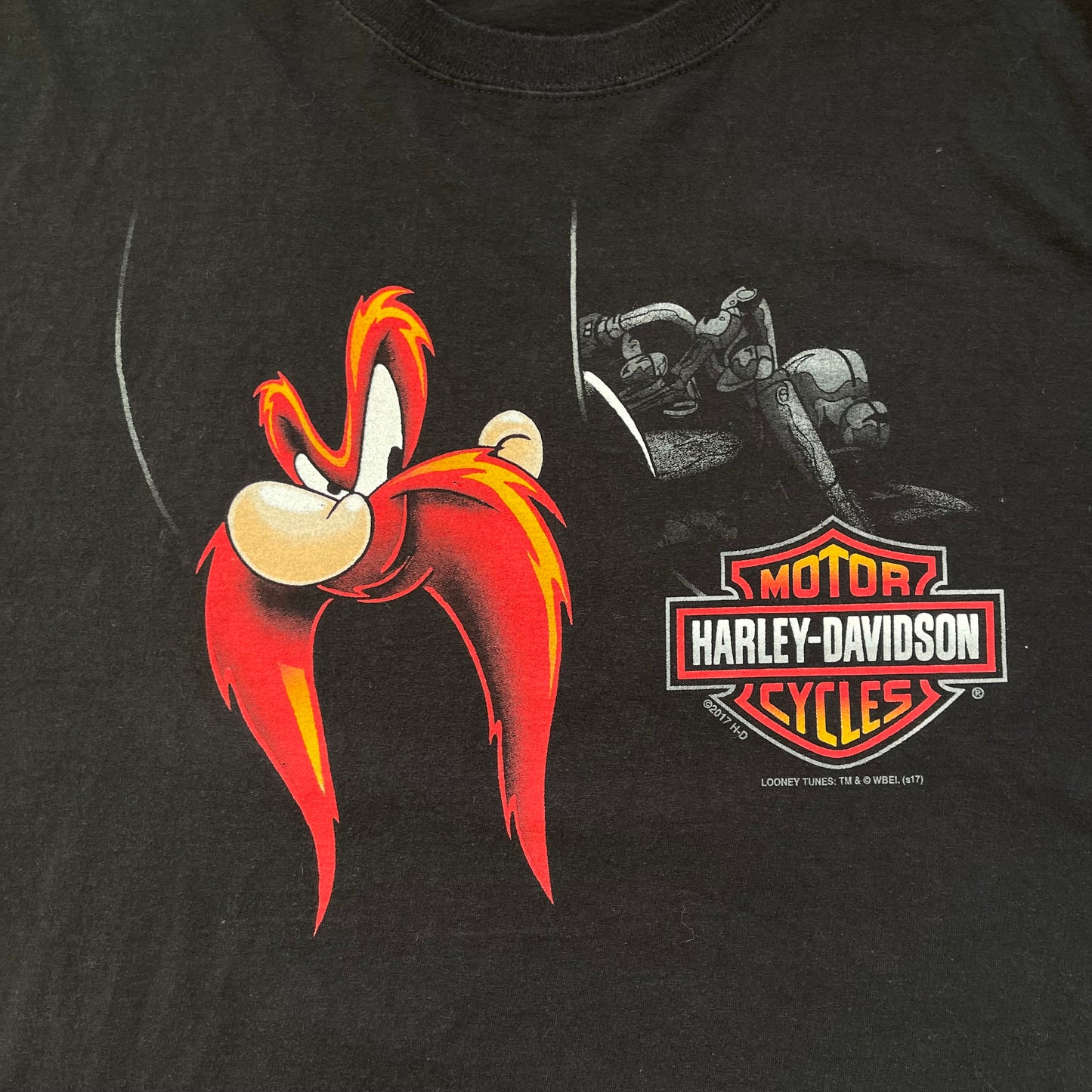 Thrifted Harley Davidson & Looney Tunes T-Shirt
