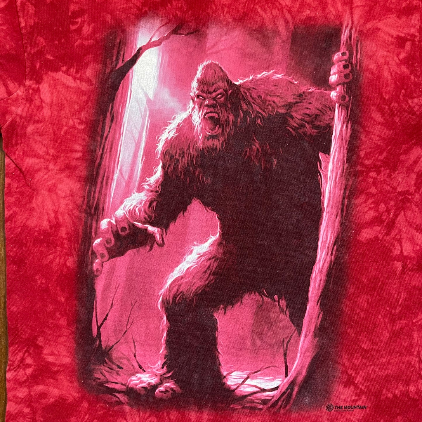 Vintage Y2K Yeti Big Foot By The Mountain T-Shirt