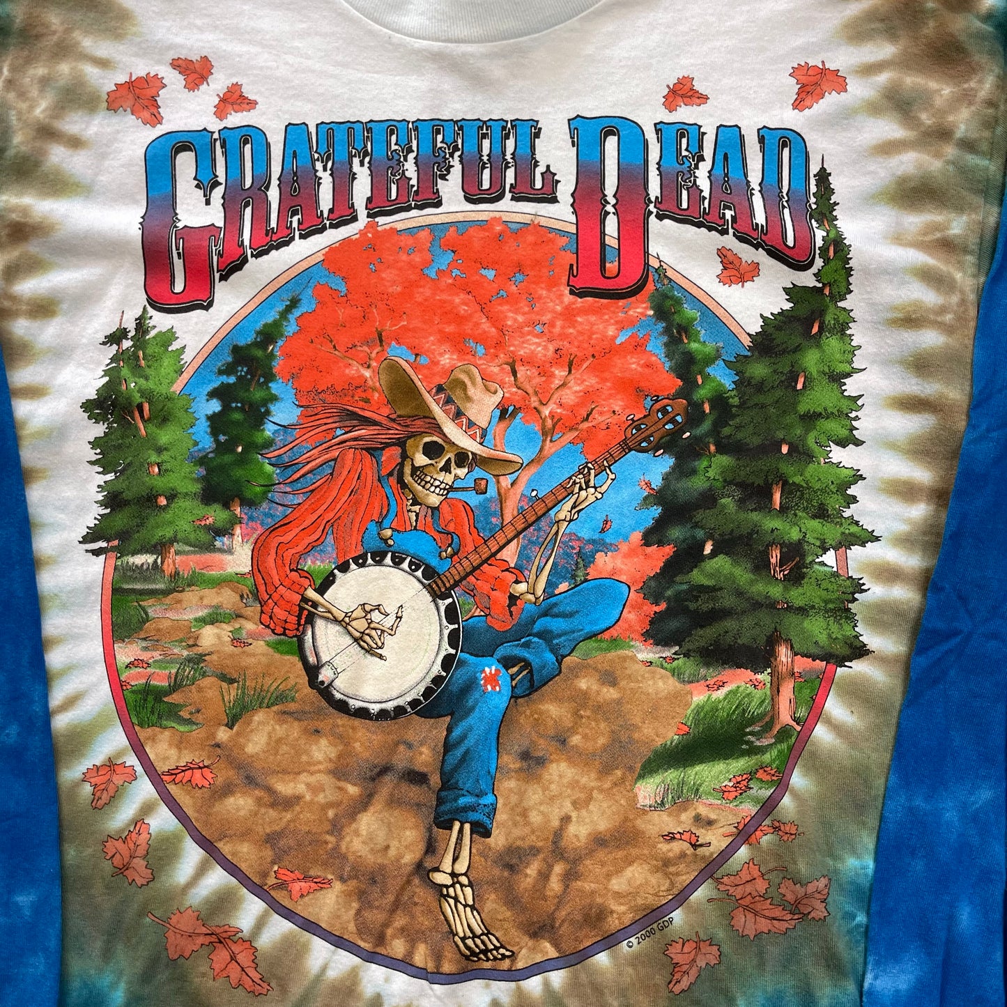 Vintage Y2K Grateful Dead Banjo Tie-Die T-Shirt