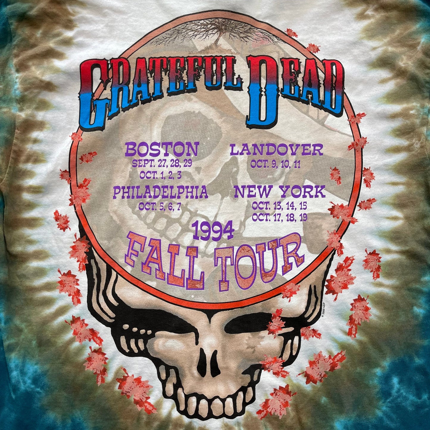 Vintage Y2K Grateful Dead Banjo Tie-Die T-Shirt