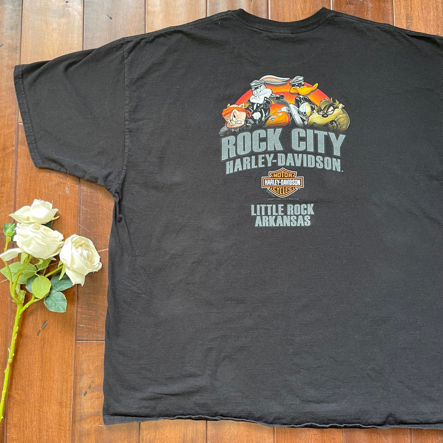 Thrifted Harley Davidson & Looney Tunes T-Shirt