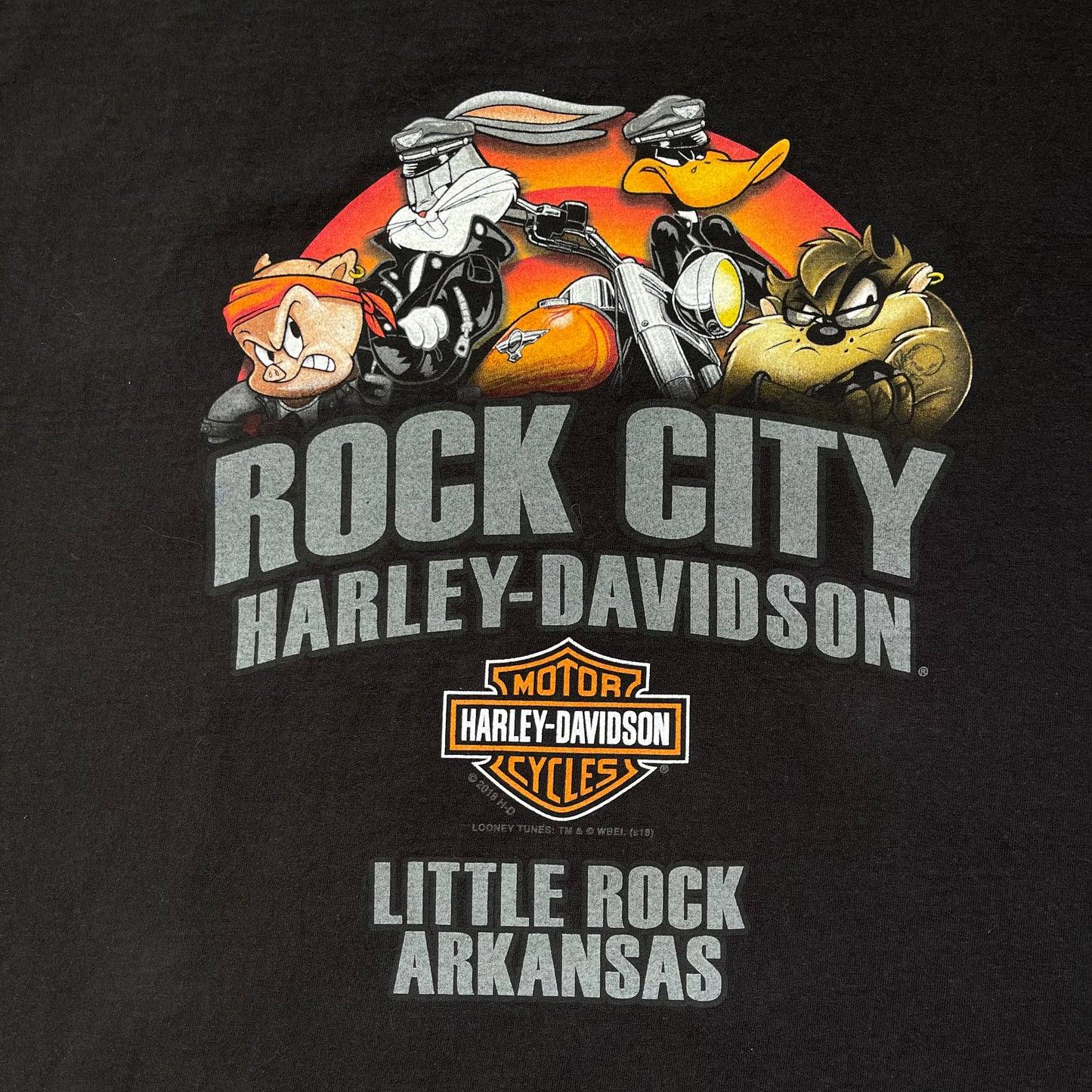 Thrifted Harley Davidson & Looney Tunes T-Shirt