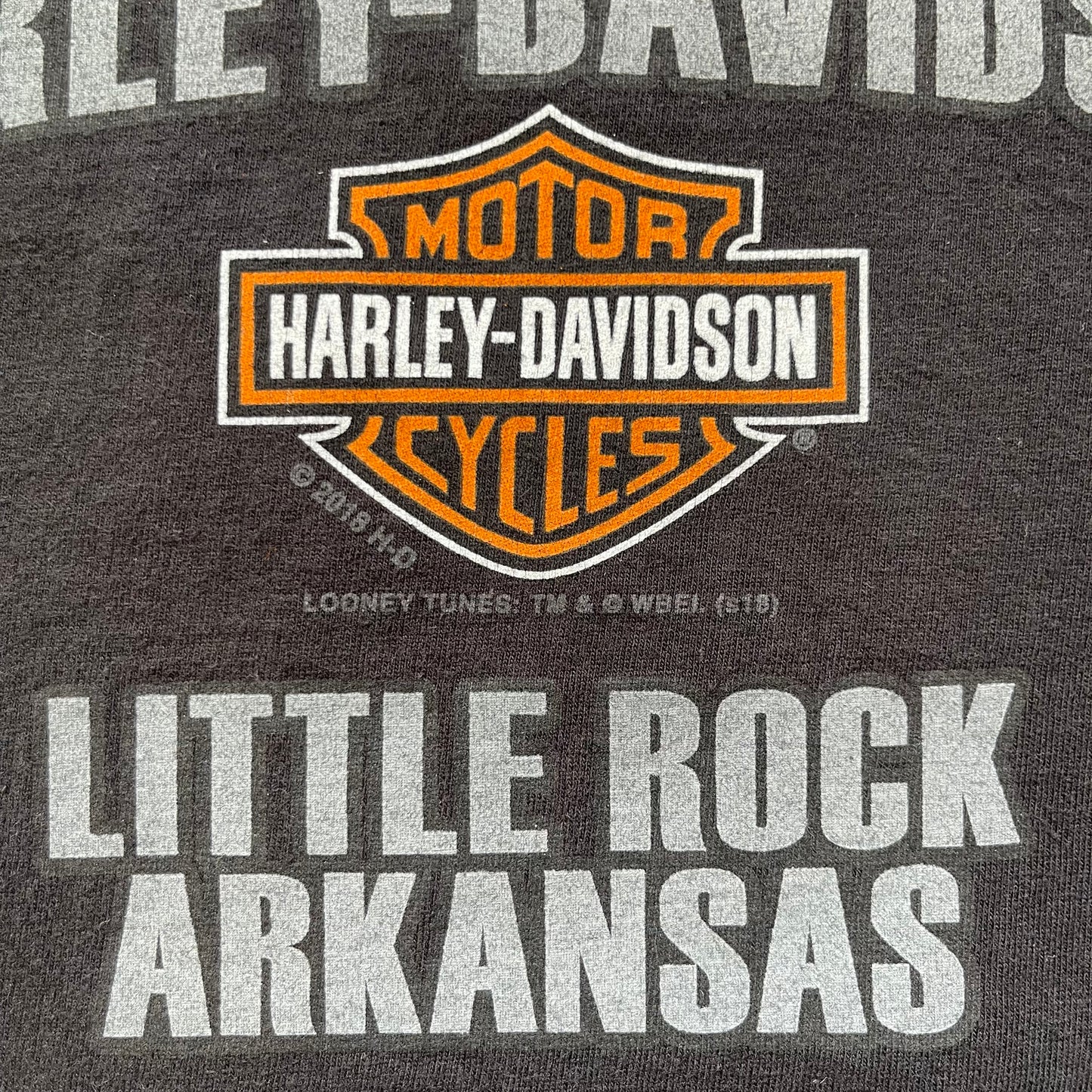 Thrifted Harley Davidson & Looney Tunes T-Shirt