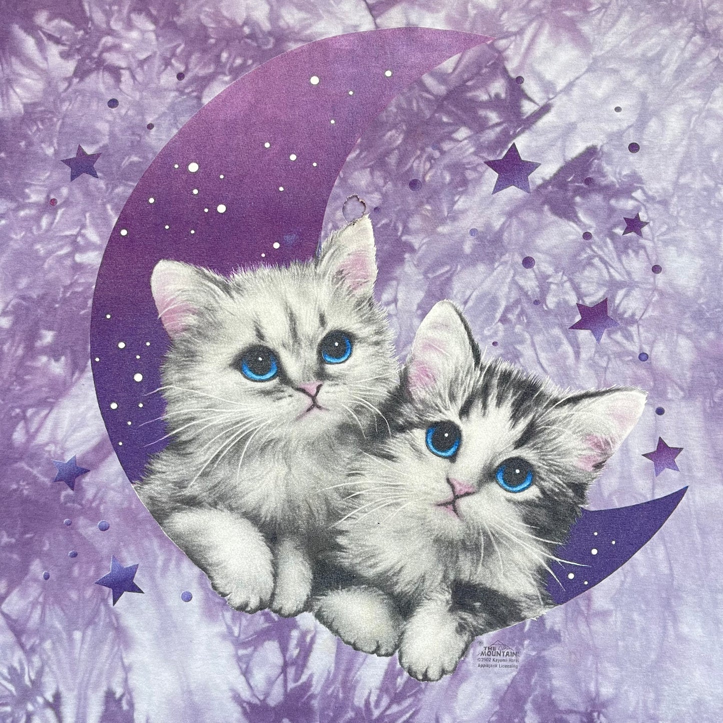 Vintage Y2K Whismygoth Moon, Stars & Kittens By The Mountain T-Shirt