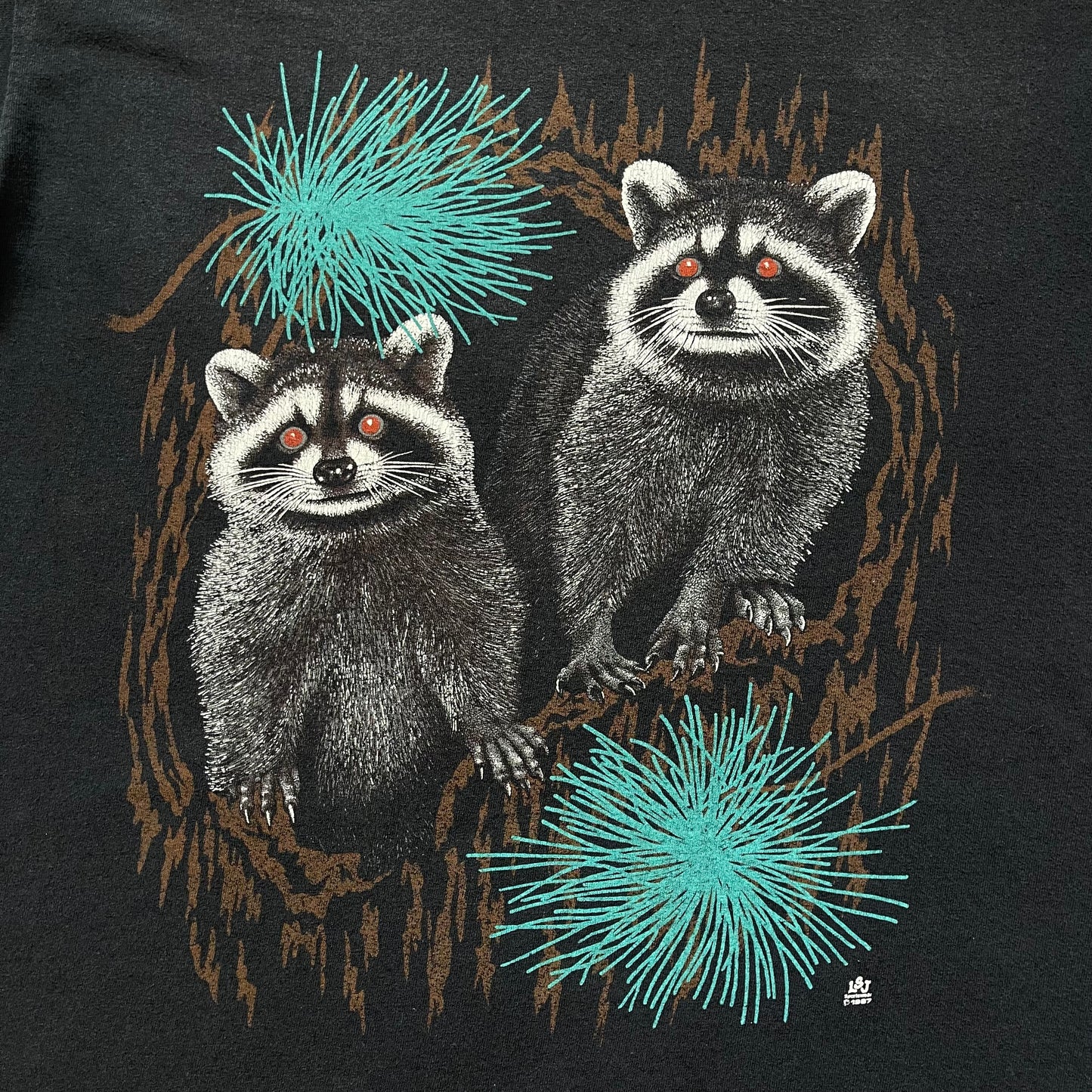 Vintage 1987 Racons Single-Stitched T-Shirt
