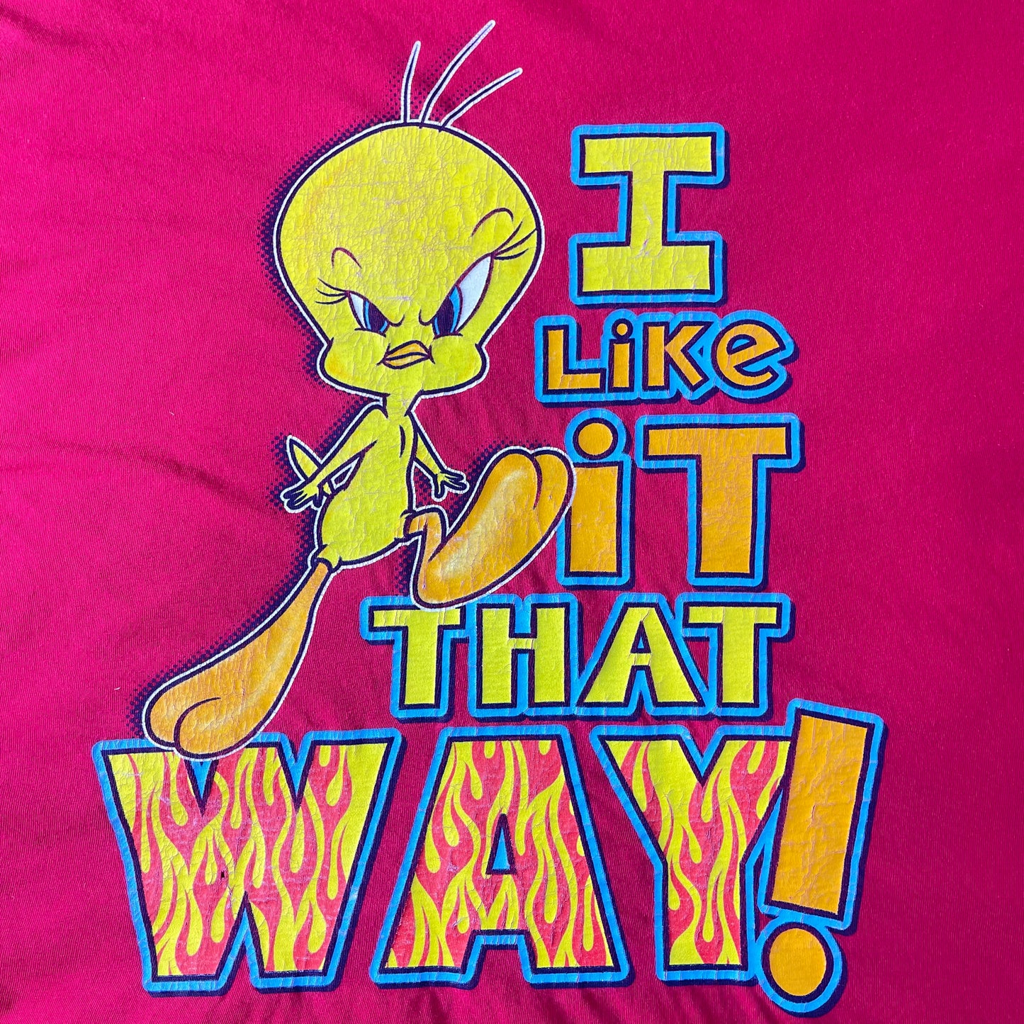 Vintage Y2K 2001 Tweety Bird “I Know I’m Nasty” V-Neck T-Shirt