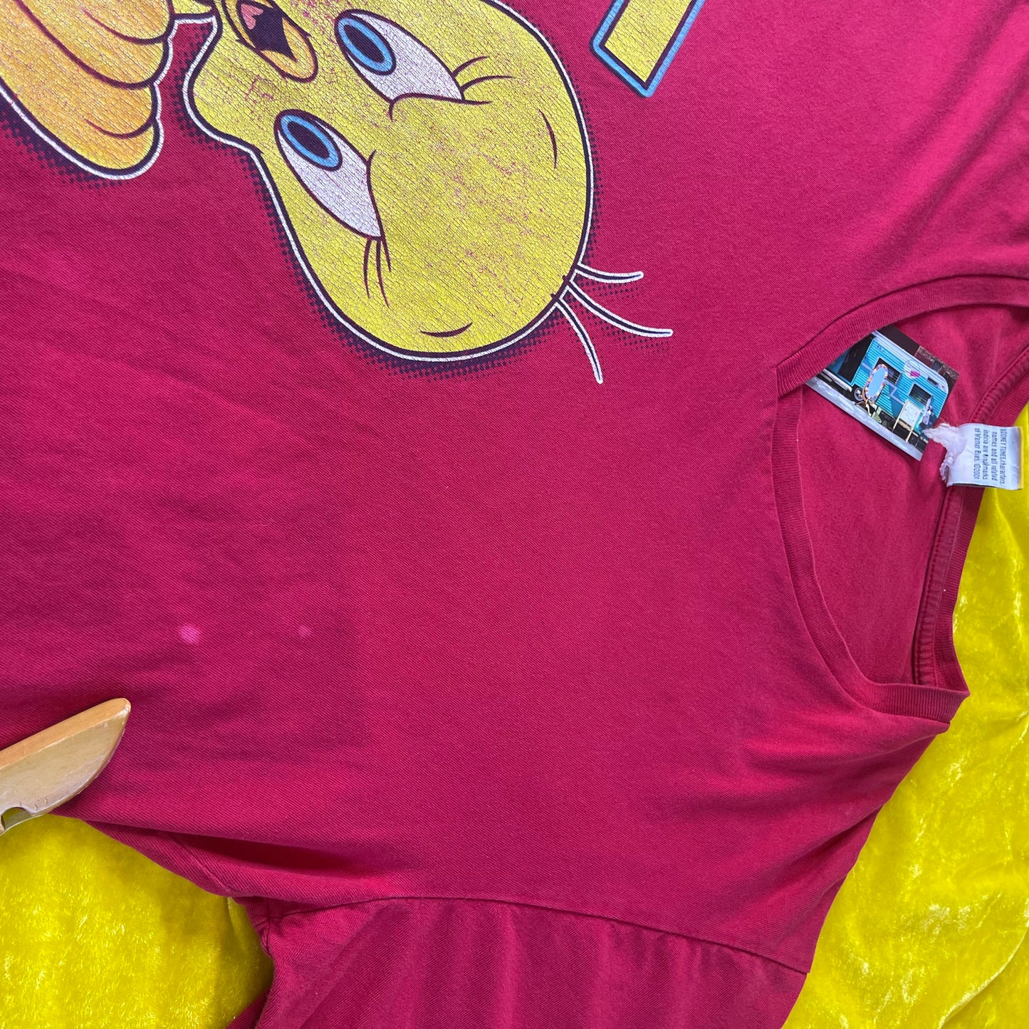 Vintage Y2K 2001 Tweety Bird “I Know I’m Nasty” V-Neck T-Shirt