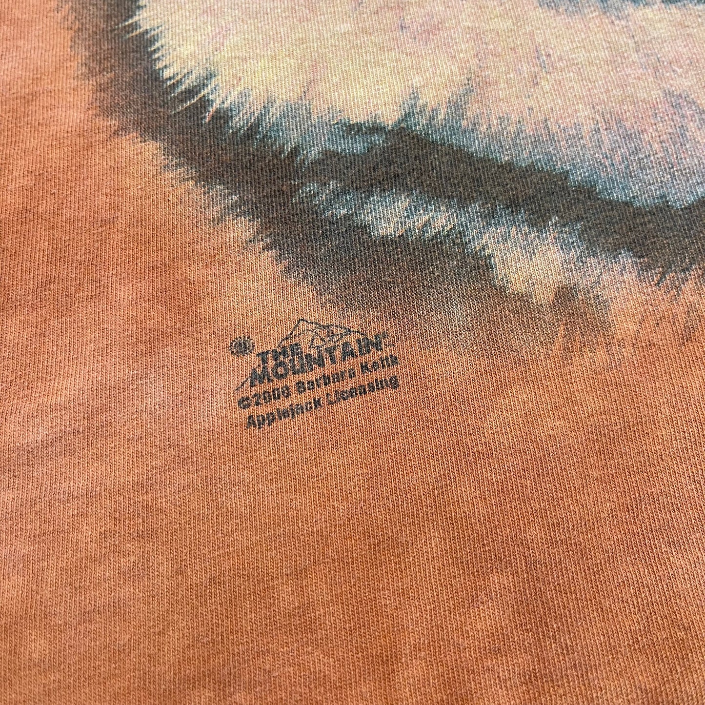Vintage Y2K Tiger By The Mountain T-Shirt
