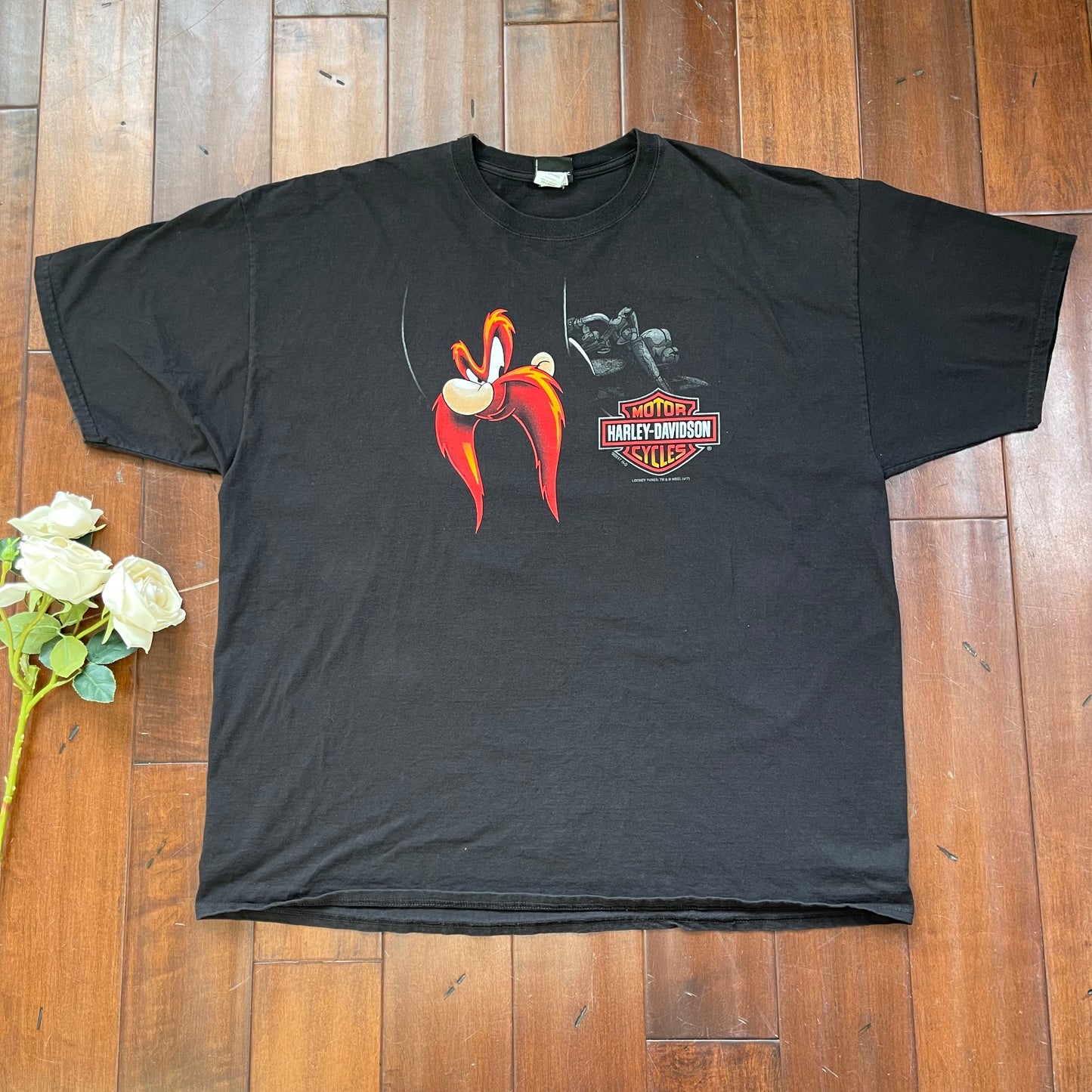 Thrifted Harley Davidson & Looney Tunes T-Shirt