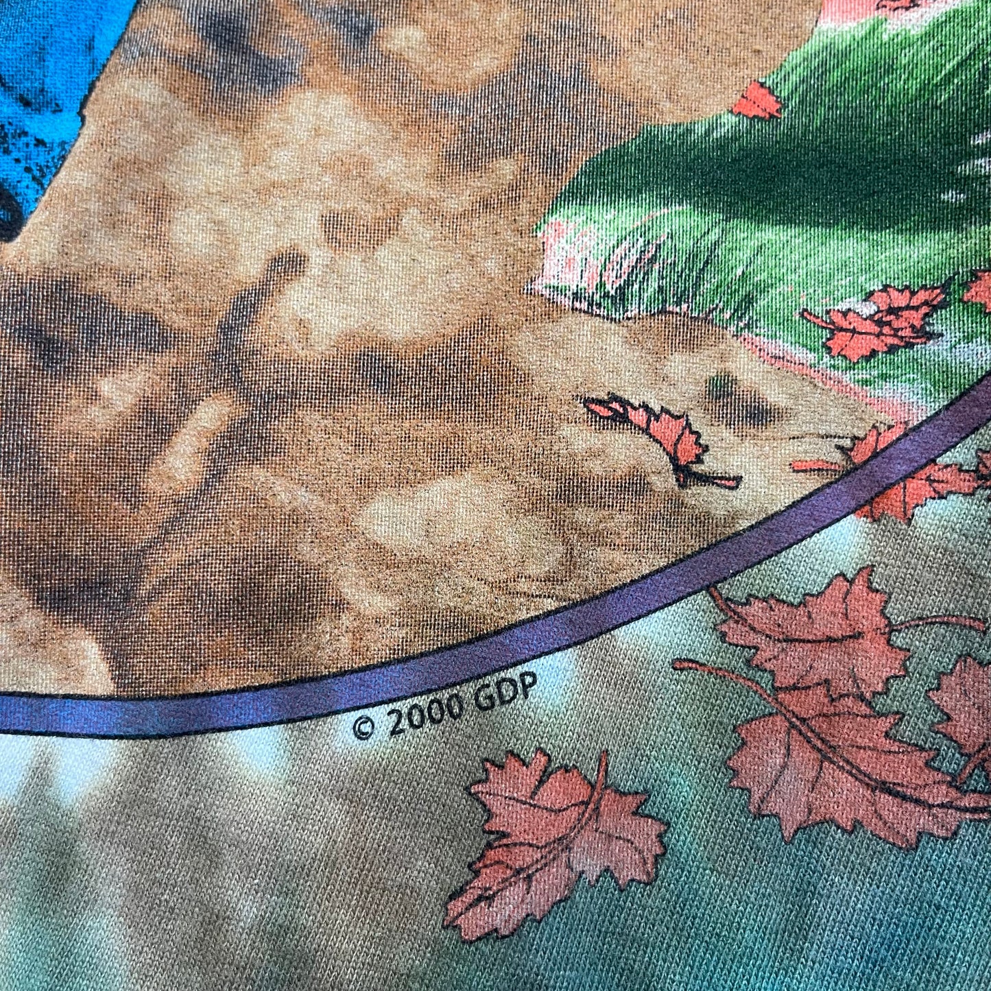 Vintage Y2K Grateful Dead Banjo Tie-Die T-Shirt