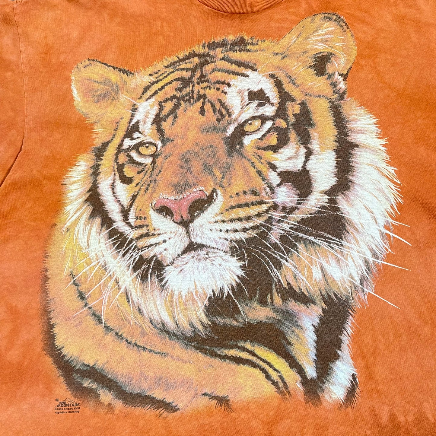 Vintage Y2K Tiger By The Mountain T-Shirt