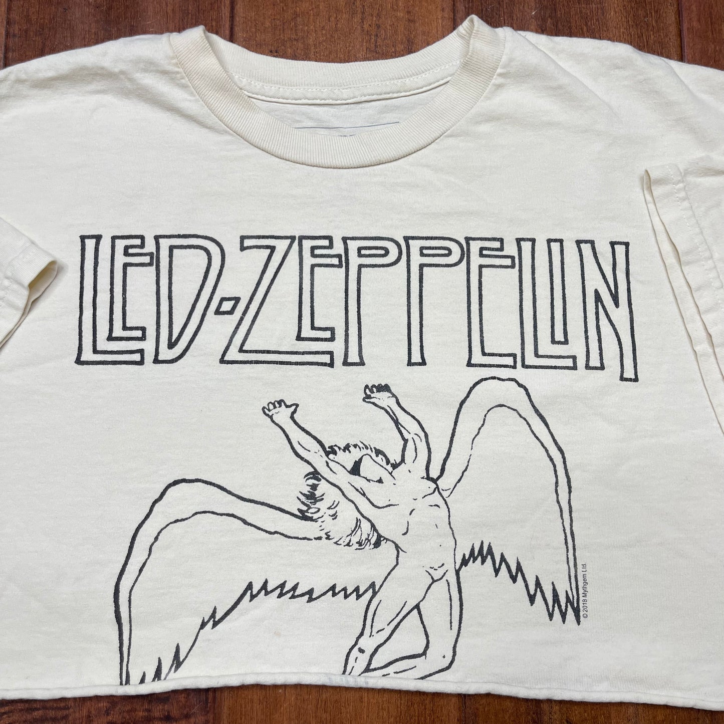 THRIFTED LED-ZEPPELIN CROPPED TEE
