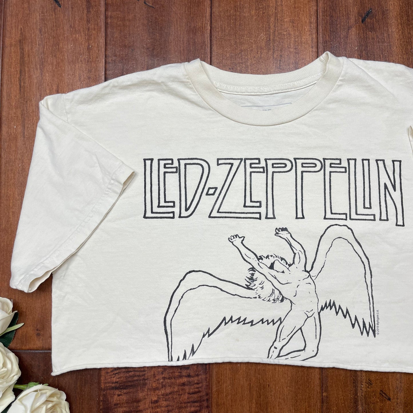 THRIFTED LED-ZEPPELIN CROPPED TEE